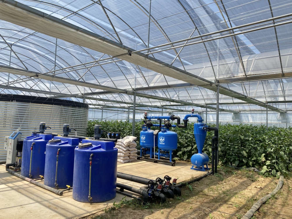 大关镇：智慧农业绘新景 联农带农促振兴