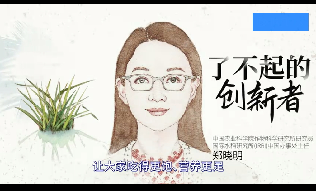 为守护40亿人的口粮，抢救“野草”