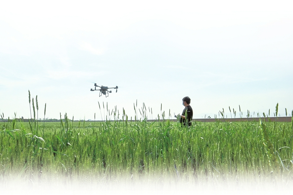 智慧农业赋能田野新未来
